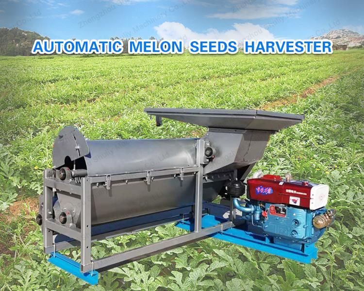 New Design Pumpkin Seed Processing Watermelon Harvester Melon Seed Extractor Machine