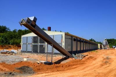 Steel Frame Structure Chicken Coop House in Poultry Farms