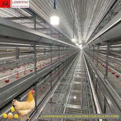 High Density Stable Running Service Mature Design Professional 240 Chicken Cage with Good Price