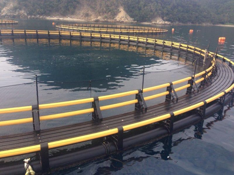 Anti-Collision HDPE Frame Pipe Fish Farming Floating Cage