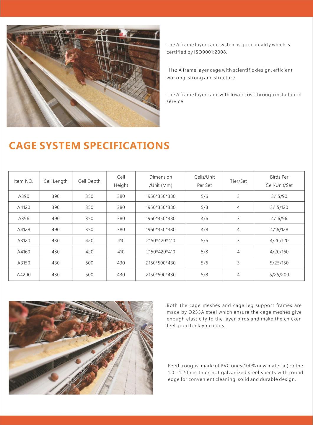 Hot Selling Type a Layer Cage Raising Equipment for Layer Chickens House