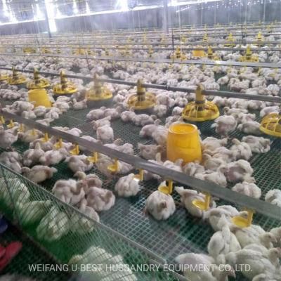 Broiler Chicken Floor Feeding System/Feeder Pan System