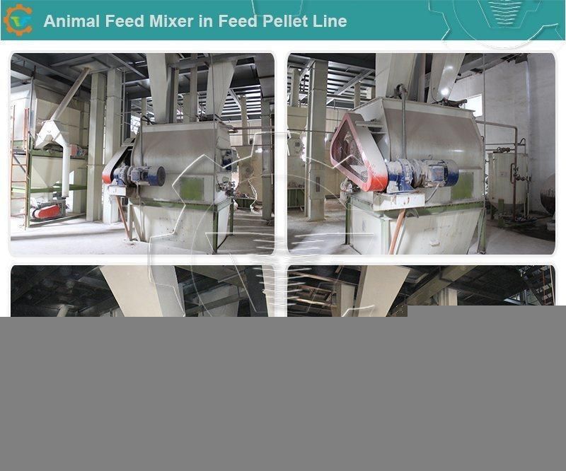 Industrial Double Shaft Animal Poultry Fish Feed Mill Mixer Price
