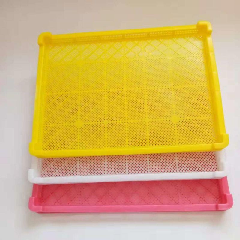 Frozen Plate for Dressing Plant for Broiler Dressing Plant for Chicken