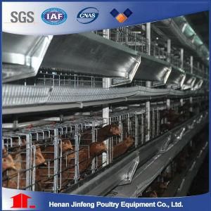 H Type Automated Poultry Farm Chicken Cage (Poultry Farm Equipment For Sale)