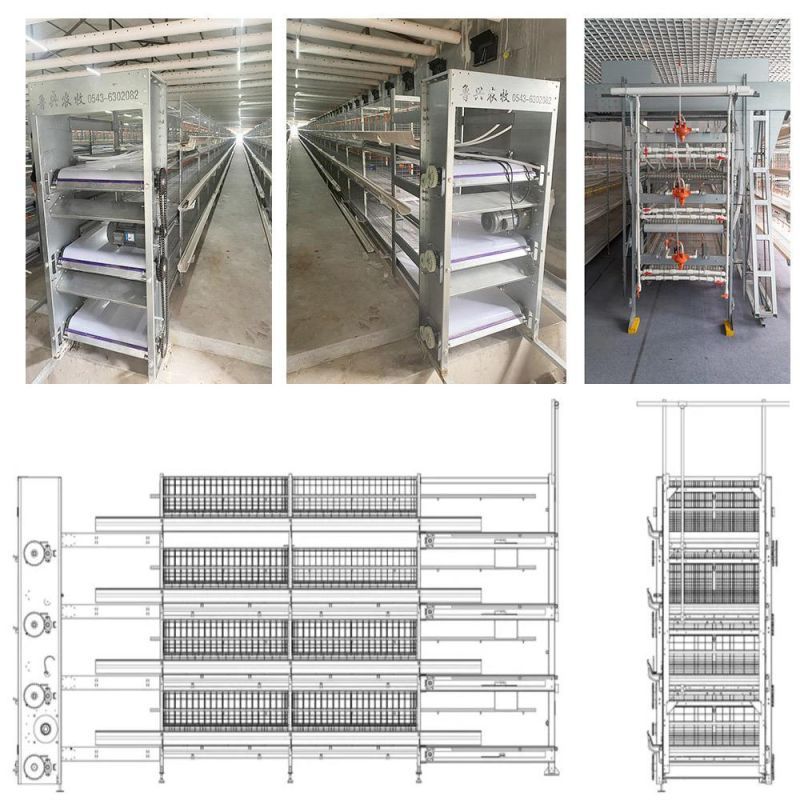Complete Automatic Pullets Rearing Cages System Poultry Farming Equipment Breeding Chicken Cage System