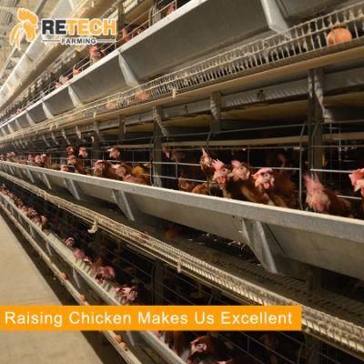 Automatic poultry house chicken farm layer battery cages with drinkers
