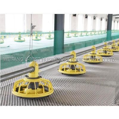 Agriculture Automatic Poultry Farm Equipment for Broiler