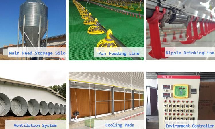 Automatic Poultry House Water Double Seal Chicken Nipple Drinkers