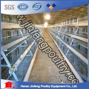 a Frame Automatic Livestock Machinery/Layer Chicken Cage Layer Cage