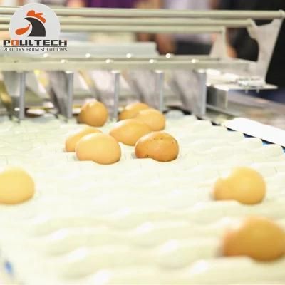 Egg Packing Machine with Capacity of 15000 Eggs Per Hour