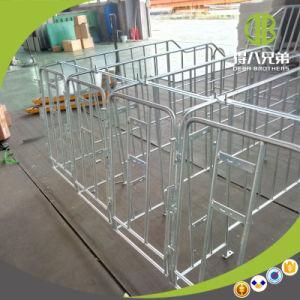 Popular Individual Stall for Protecting Gestation Sows