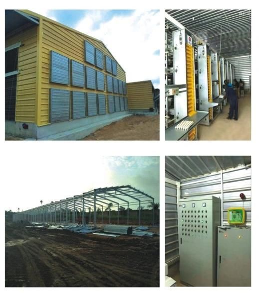 Chicken House Layer Equipment Poultry Farm Equipment