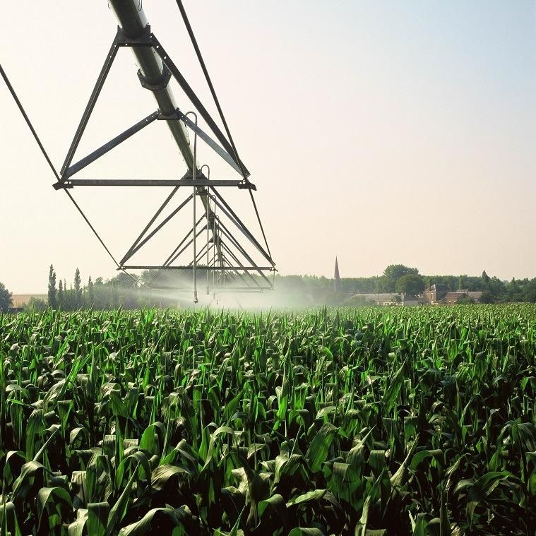 Large Farmland Centre Pivot Irrigation System with Komet End Gun