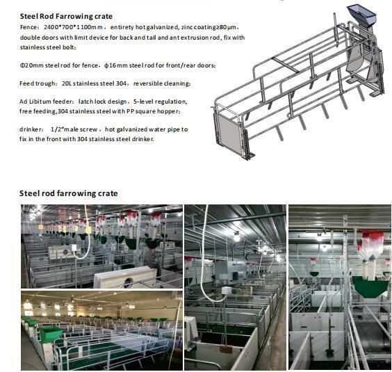 Pig Farm Equipment Farrowing Crate