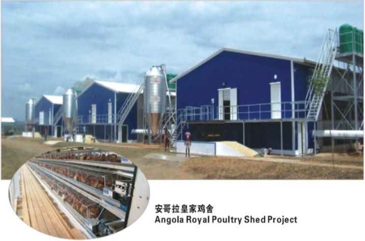 Angola Royal Poultry Shed Project