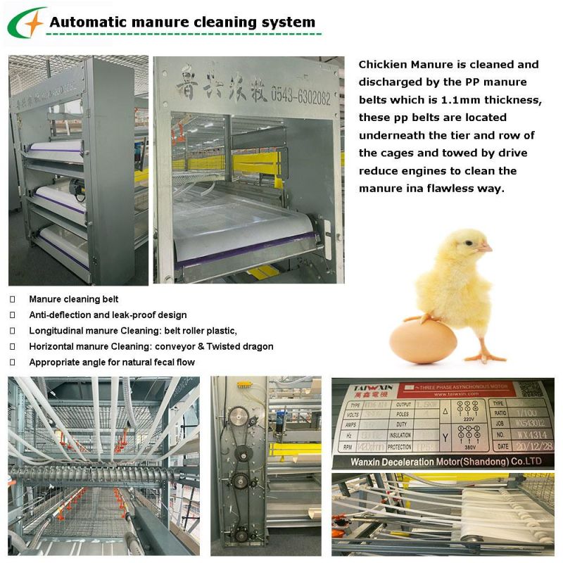 Automatic Broiler Poultry Farm Feeding System H Type Battery Broiler Chicken Cage