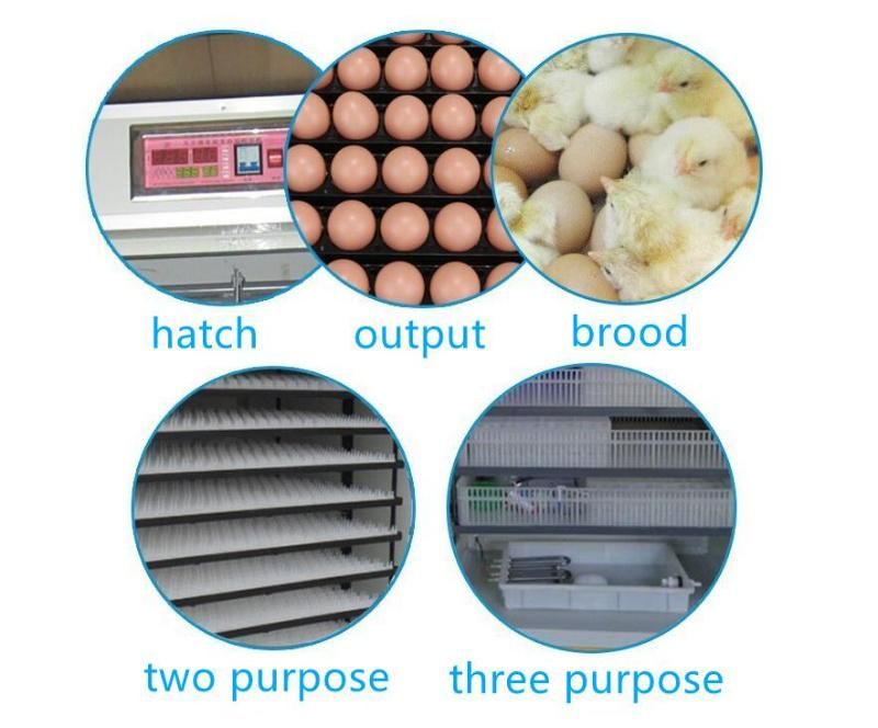 Automatic Large Intelligent Poultry and Chicken Hatching Box Egg Incubator