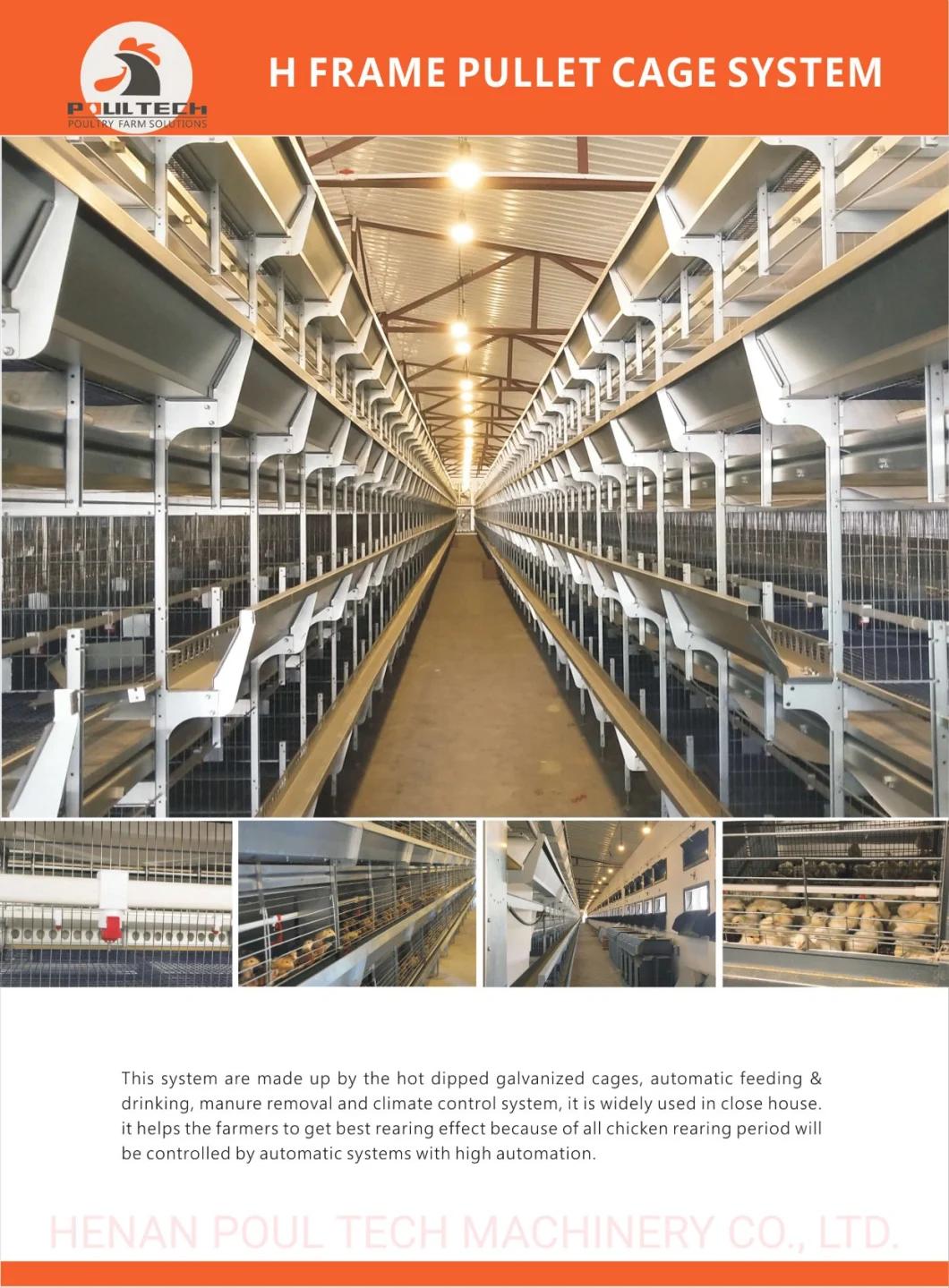 Best-Selling Type H Chicken Poultry Raising Equipment