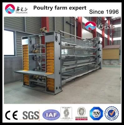 Fashion High Quality Build Chicken Coop, Automatic Poultry Farm Equipments