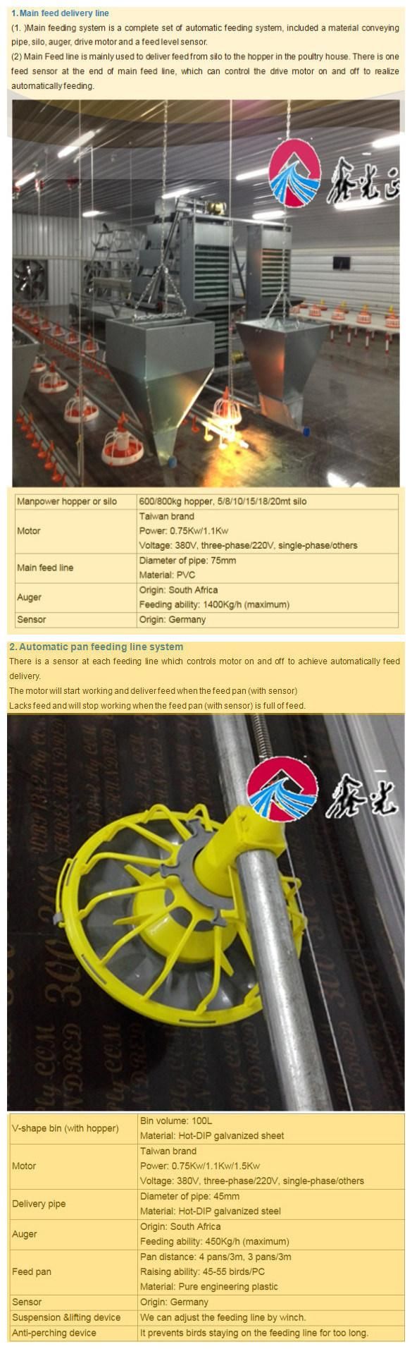 Factory Supply Broiler Chicken Equipment with Low Cost