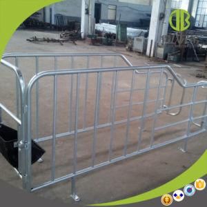 2017 Popular Pig Gestation Stall Pig Equipment for Pig Farm