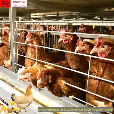 China Farming Equipment Longfeng Feeding Poultry Farms Chicken Cage with Good Service 9LCD-4128