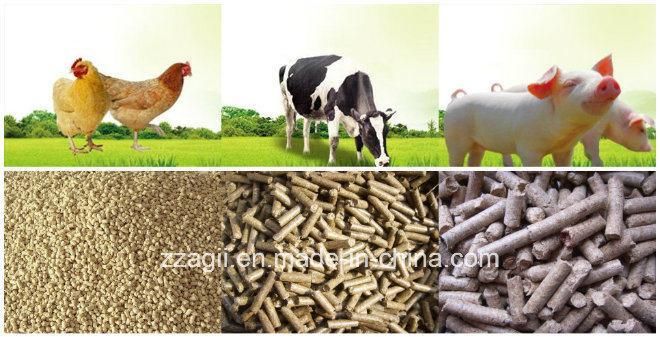 Professional Ring Die Animal Feed Pellet Making Machine