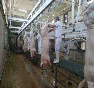 Automatic Pig Carcass Cleaning Washing Machine for Slaughter Line