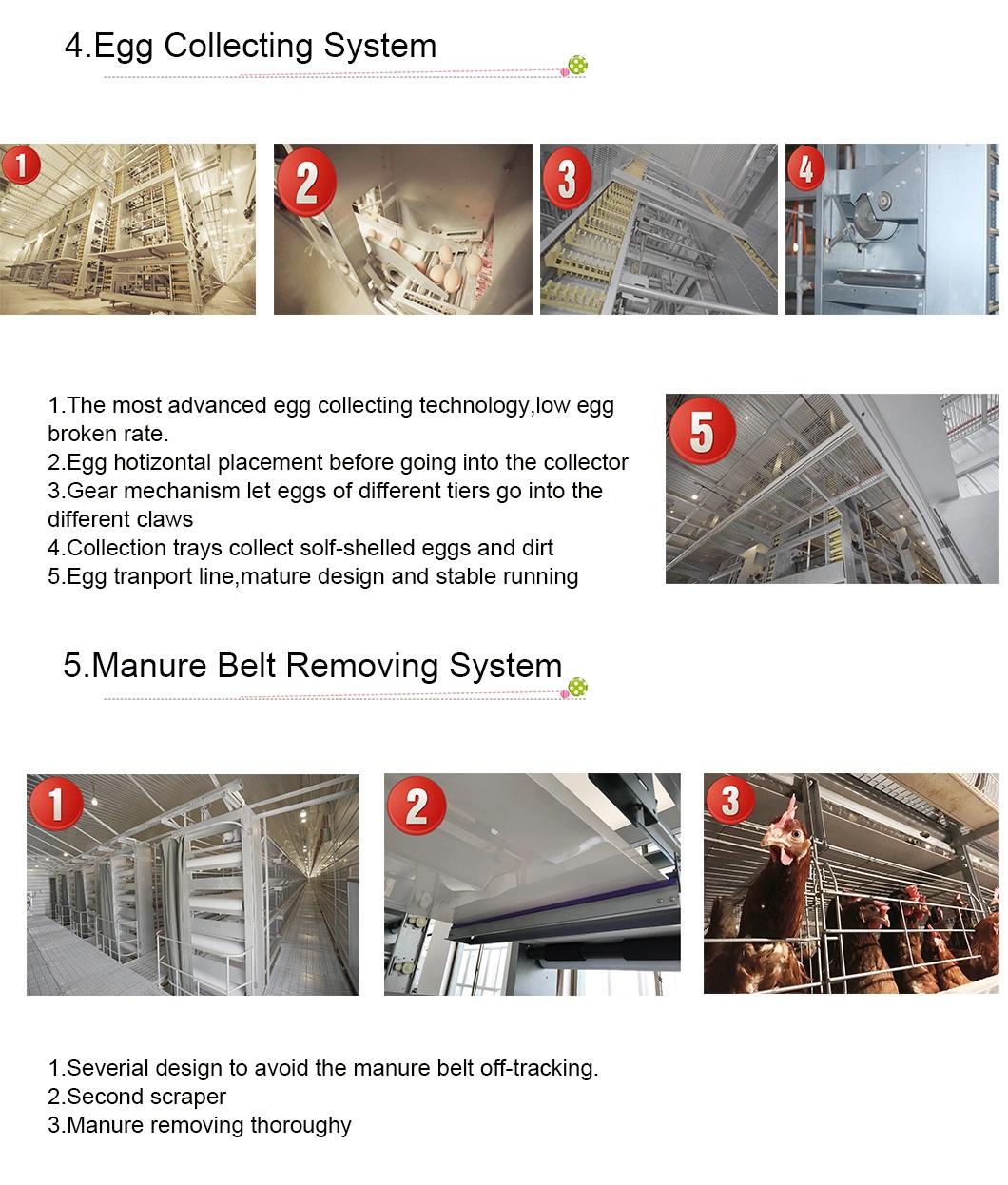 Longfeng Automatic Computerized Dosing Medicine and Spray Disinfection Poultry Chicken Cages