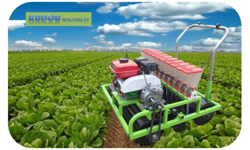 Carrot Planter/ Cherry Radish/ White Radish Seeding Machine/Turnip/Beet/Onion Seeding Equipment/ Spinach Sower/ Vegetable Seeder (factory selling customization)