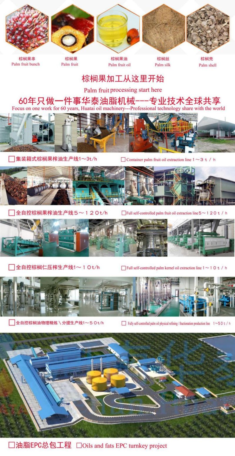 Turnkey Project 1tph-90tph Palm Fruit Oil Press Machine Palm Oil Processing Plant for Sale