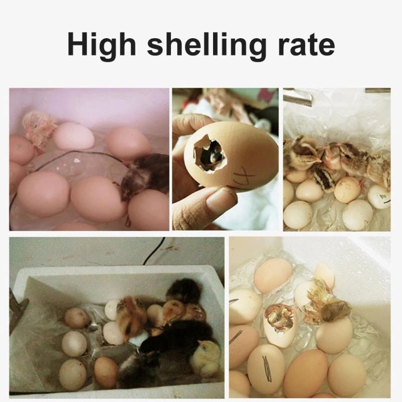 High Hatchability Chicken Egg Incubator Full Automatic Intelligent Poultry Incubator