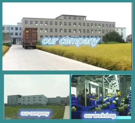2020 Good and Cheap New Two in One Electric Knapsack Sprayer for Agriculture/Garden/Home