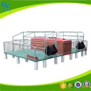 Pig Farming Equipment Galvanized Farrowing Cages Pig Crate