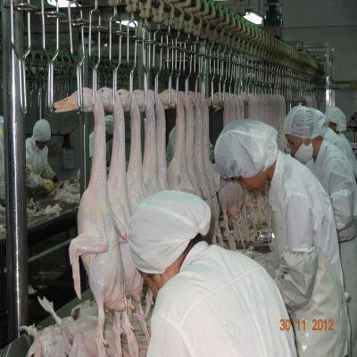 Duck Slaughter House Equipment for Poultry Farm Butcher Machine