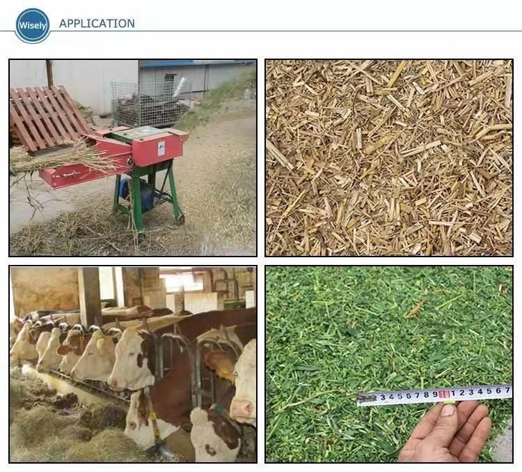Weiyan Small Livestock Feed Making Ensilage Machine Conveyor Belt Gear Controlled Grass Straw Chopper Mini Chaff Cutter