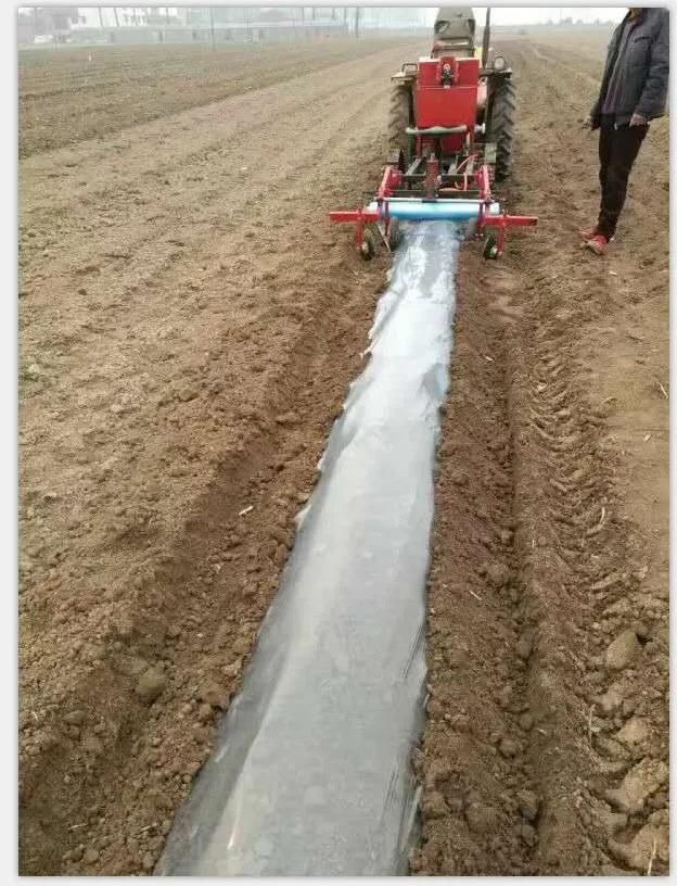 China Small Tractor Driven 4 Rows Potato Seeder Machine for Sale