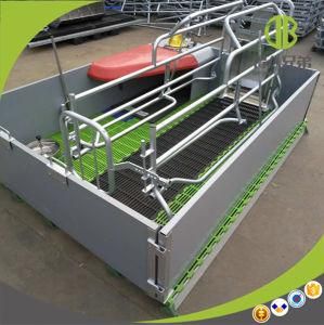 High Strengh Galvanized Swine Farrowing Crates for Sow