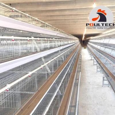 Layout Drawing and Cage Solution Design for Free