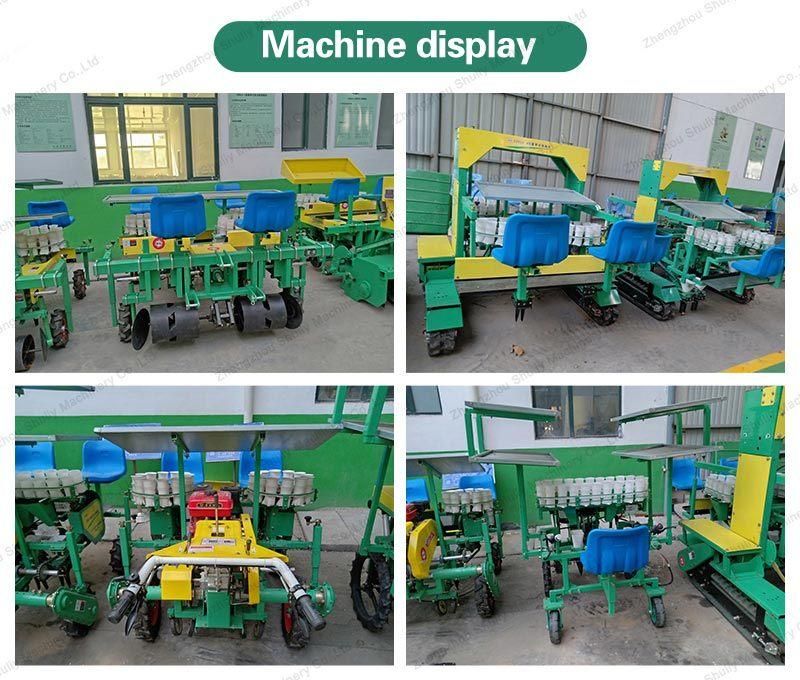 Agricultural Machinery Vegetable Seedling Transplanter Cabbage Garlic Planting Machine