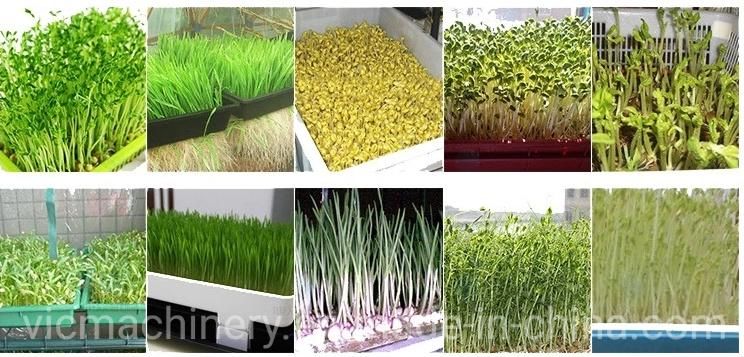 50kg/d Hydroponic Barley Fodder Gralic Growing Machine