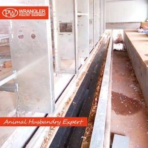 Design Modern Automatic Poultry Farm Equipment Galvanized Chicken Battery Cage for Layer/Hen/Egg Chicken