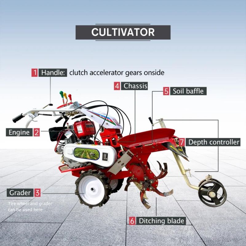 Small Tiller Machine Full Chain Ridging Cultivator Pastoral Rotary Cultivator for Sugarcane