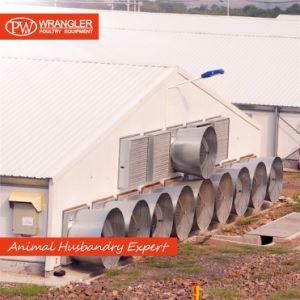 Complete Automatic Equipment for Broiler Farm/Poultry Farm