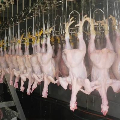 Duck Slaughtering Production Line/Duck Plucking Machine
