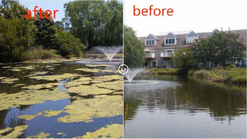 Aquatic Plant Harvester for Cleaning Water Weed and Floating Garbage