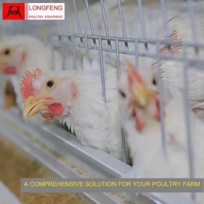 Longfeng Good Service Standard Packing Dairy Machine Broiler Chicken Cage