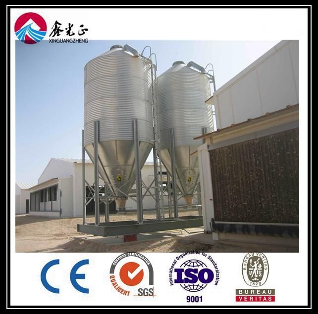 Automatic Chicken Equipment for Layer & H Type Galvanized