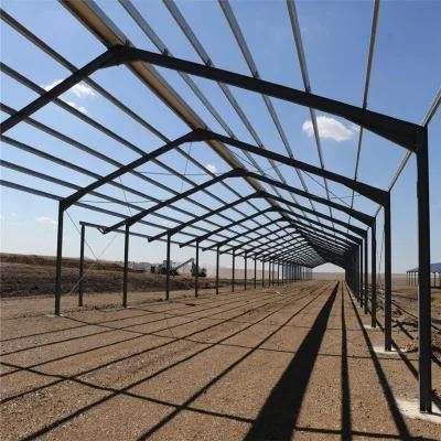 High Quality Easily Built Technical Cost Easily Feeding Chicken House